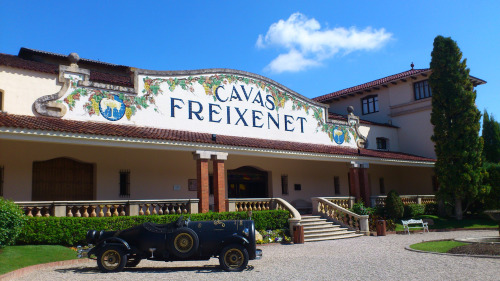 Freixenet Cordon Negro Brut